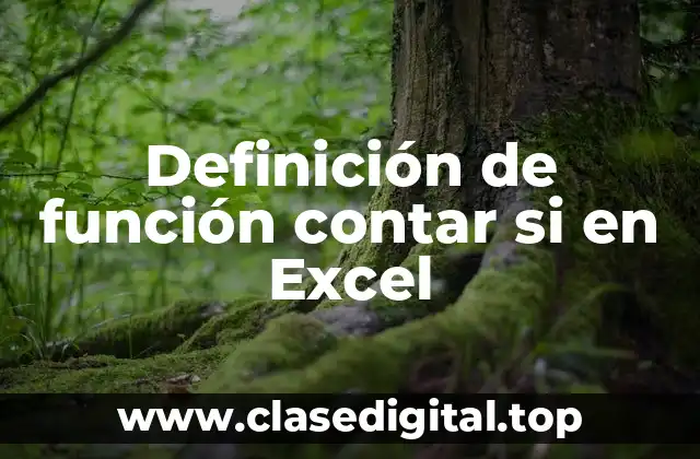 Definición de función contar si en Excel