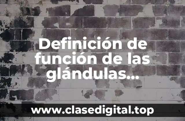 Definición de función de las glándulas endocrinas