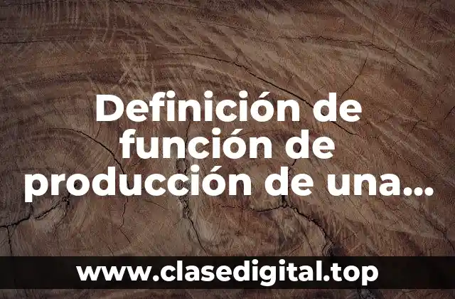 Definición de función de producción de una empresa