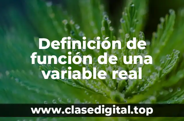 Definición de función de una variable real