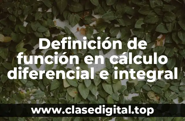 Definición de función en cálculo diferencial e integral