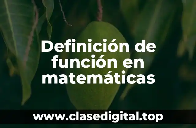 Definición técnica de función