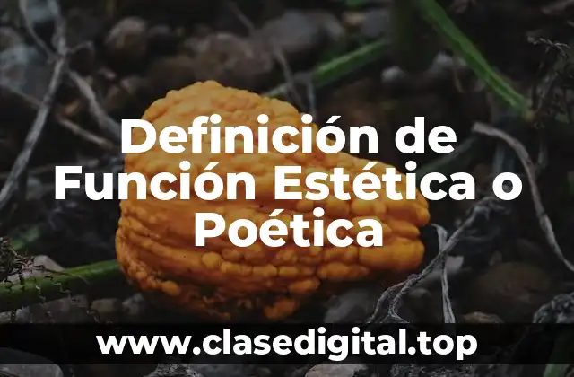 Definición de Función Estética o Poética