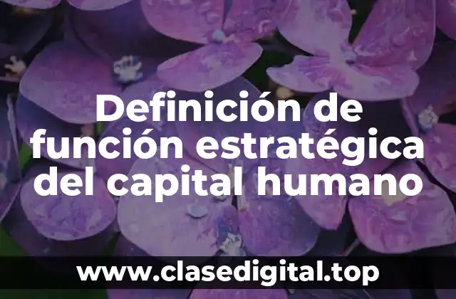 Definición de función estratégica del capital humano