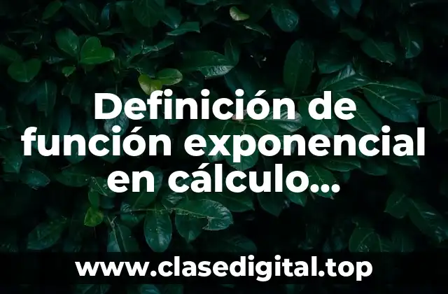Definición de función exponencial en cálculo diferencial