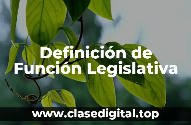 Definición de Función Legislativa