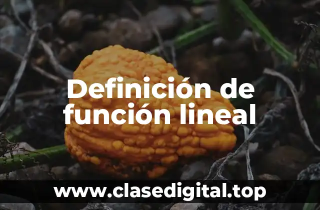 Definición de función lineal