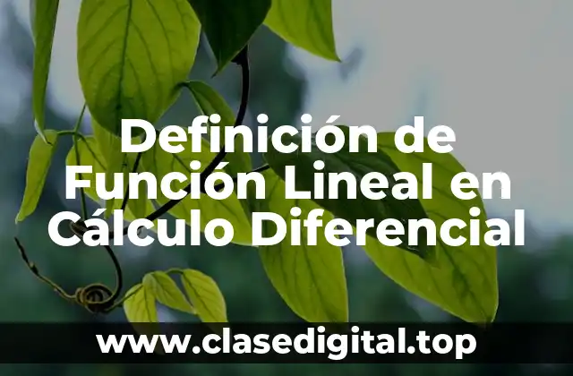 Definición de Función Lineal en Cálculo Diferencial