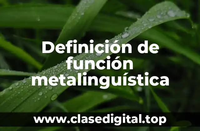 Definición de función metalinguística