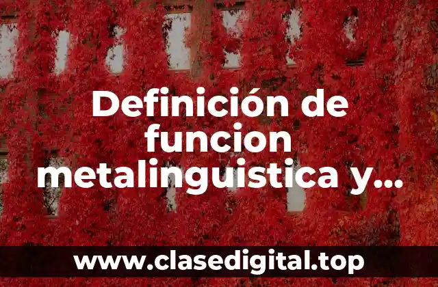Definición de funcion metalinguistica y autorregulacion