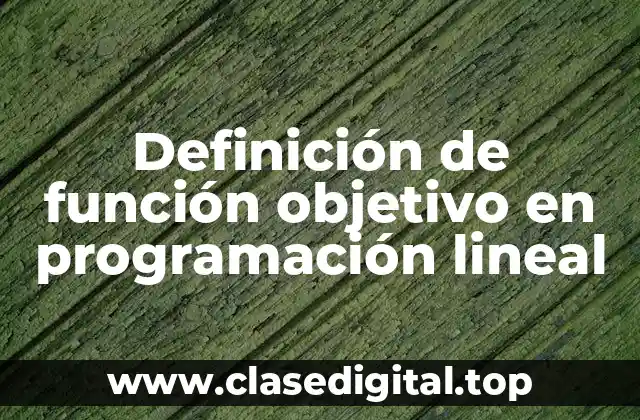 Definición de función objetivo en programación lineal