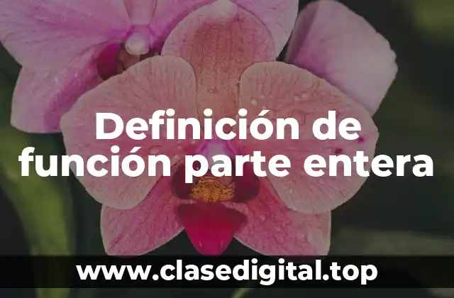 Definición de función parte entera