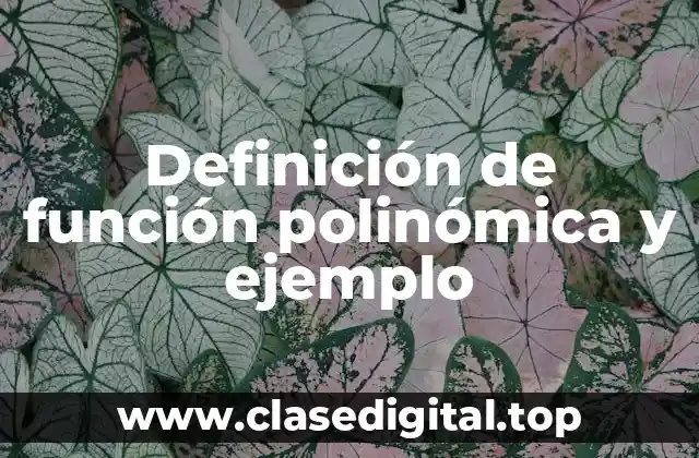 Definición de función polinómica y ejemplo