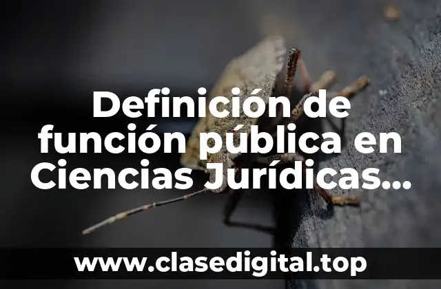 Definición de función pública en Ciencias Jurídicas UNAM