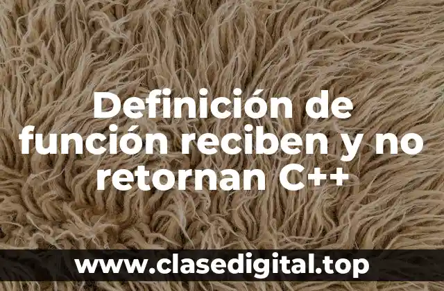 Definición de función reciben y no retornan C++