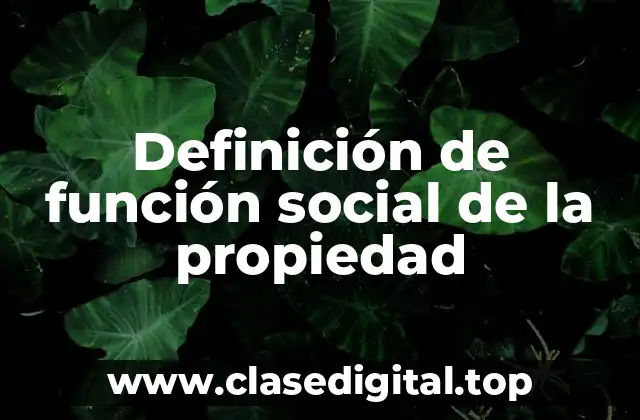 Definición de función social de la propiedad