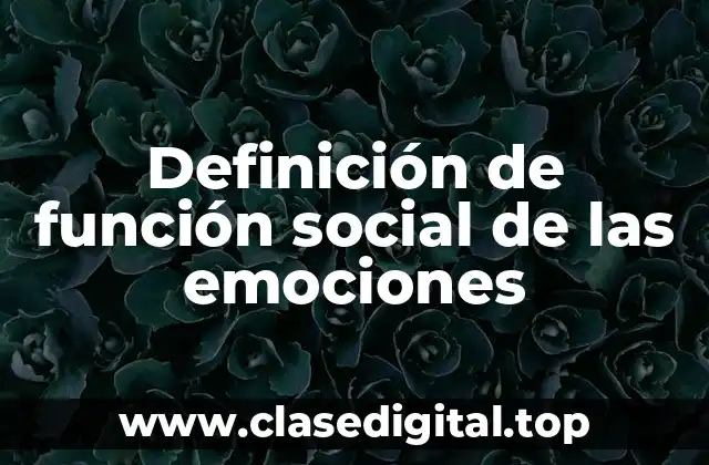 Definición de función social de las emociones