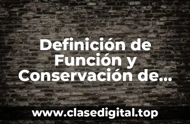 Definición de Función y Conservación de Frutas y Verduras