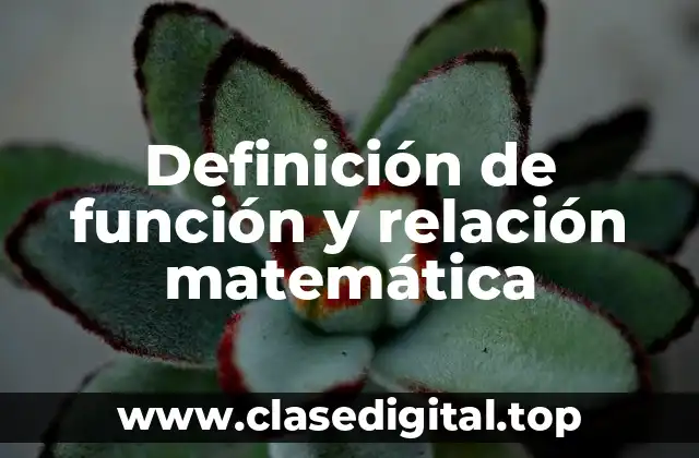 Definición de función y relación matemática