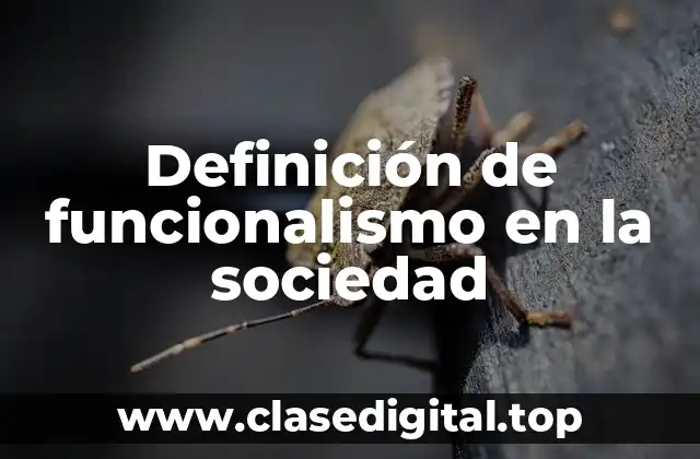 Definición de funcionalismo en la sociedad