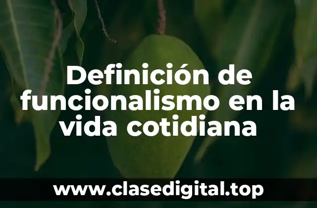 Definición de funcionalismo en la vida cotidiana