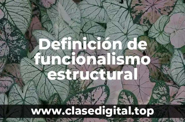 Definición técnica de funcionalismo estructural