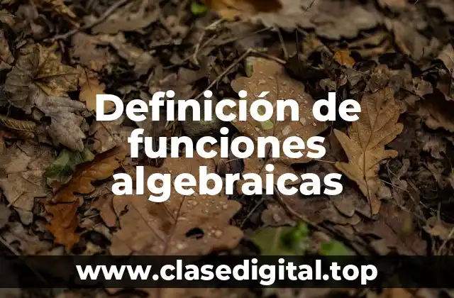 Definición de funciones algebraicas