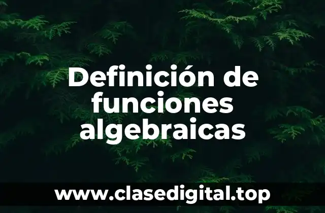 Definición técnica de función algebraica