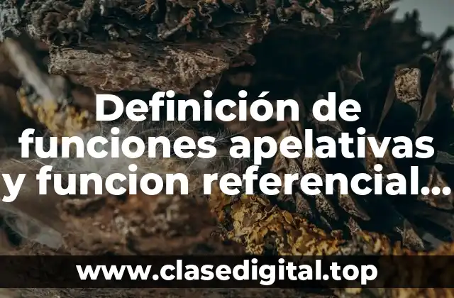 Definición de funciones apelativas y funcion referencial del lenguaje