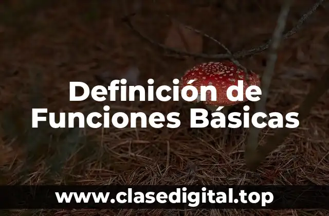 Definición Técnica de Funciones Básicas