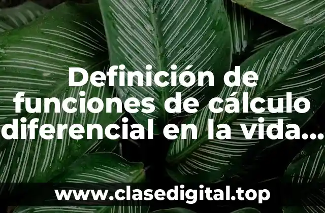 Definición de funciones de cálculo diferencial en la vida cotidiana