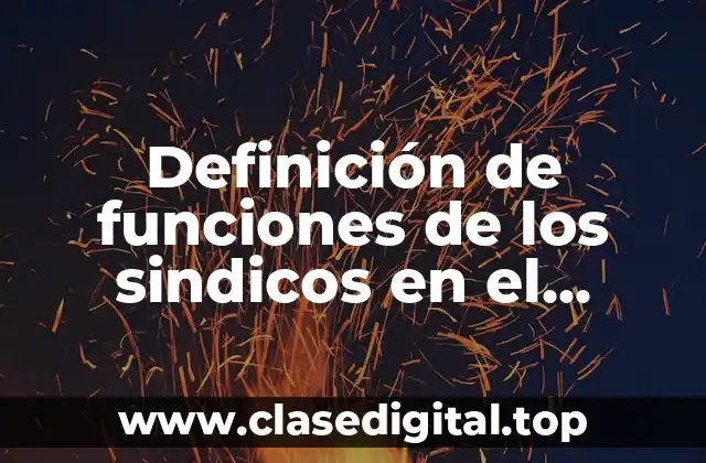 Definición de funciones de los sindicos en el ayuntamiento