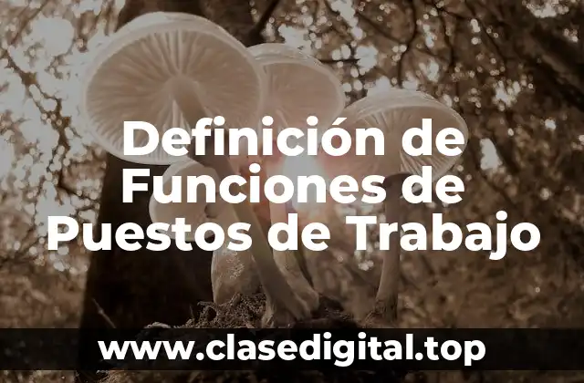Definición de Funciones de Puestos de Trabajo