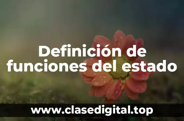 Definición de funciones del estado