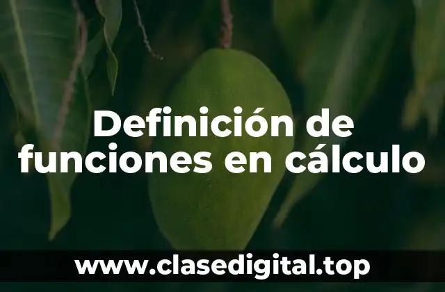 Definición de funciones en cálculo