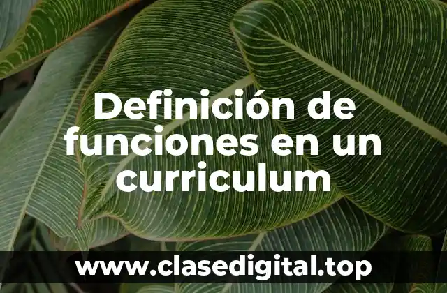 Definición de funciones en un curriculum