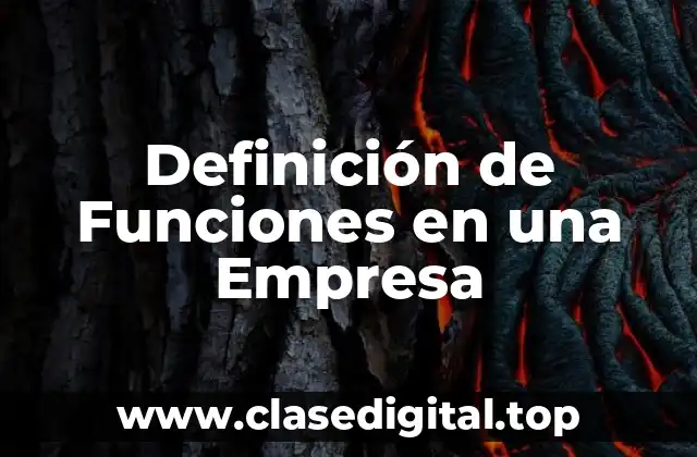Definición de Funciones en una Empresa