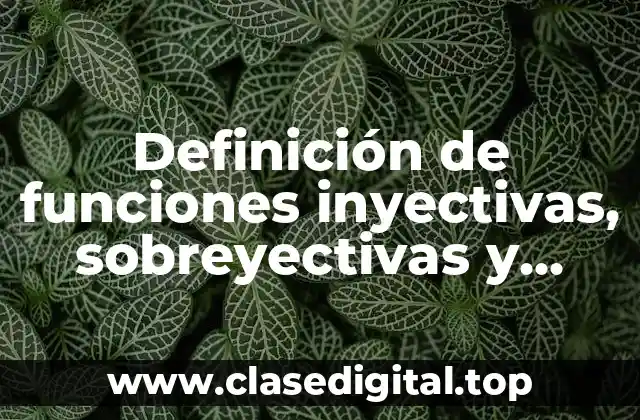 Definición de funciones inyectivas, sobreyectivas y biyectivas