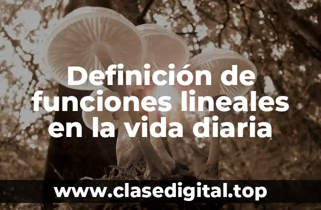 Definición de funciones lineales en la vida diaria