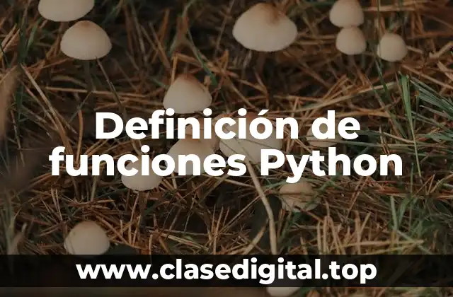 Definición técnica de funciones en Python