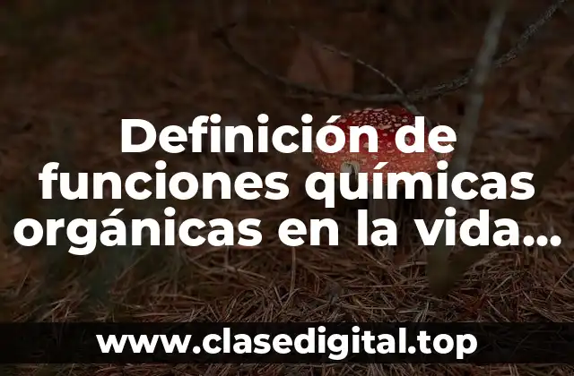 Ejemplos de funciones químicas orgánicas