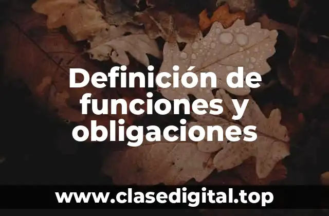 Definición de funciones y obligaciones