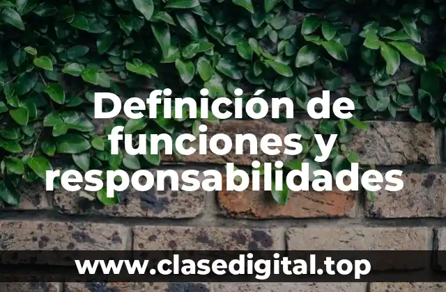 Definición de funciones y responsabilidades