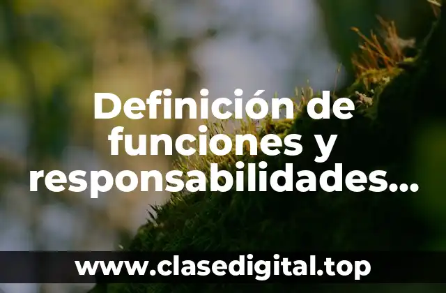 Definición de funciones y responsabilidades de burrería