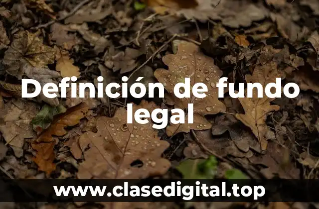 Definición de fundo legal