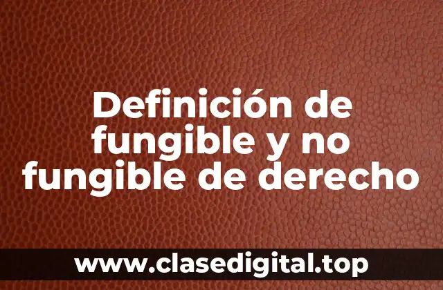 Definición técnica de fungible