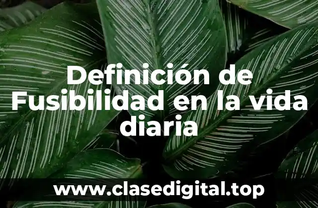 Definición de Fusibilidad en la vida diaria