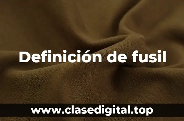 Definición de fusil