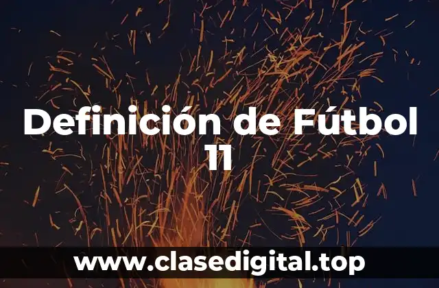 Definición técnica de Fútbol 11