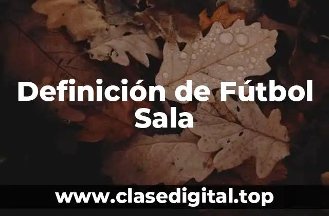 📗 Definición técnica de Fútbol Sala